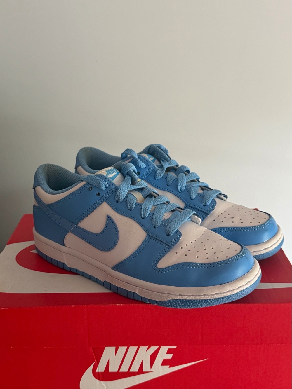 Nike Kids Low-Top Sneakers in Sky Blue and White